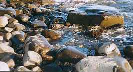 Rocks on Kimmeridge beach