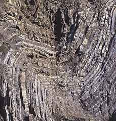 Rocks on Kimmeridge beach